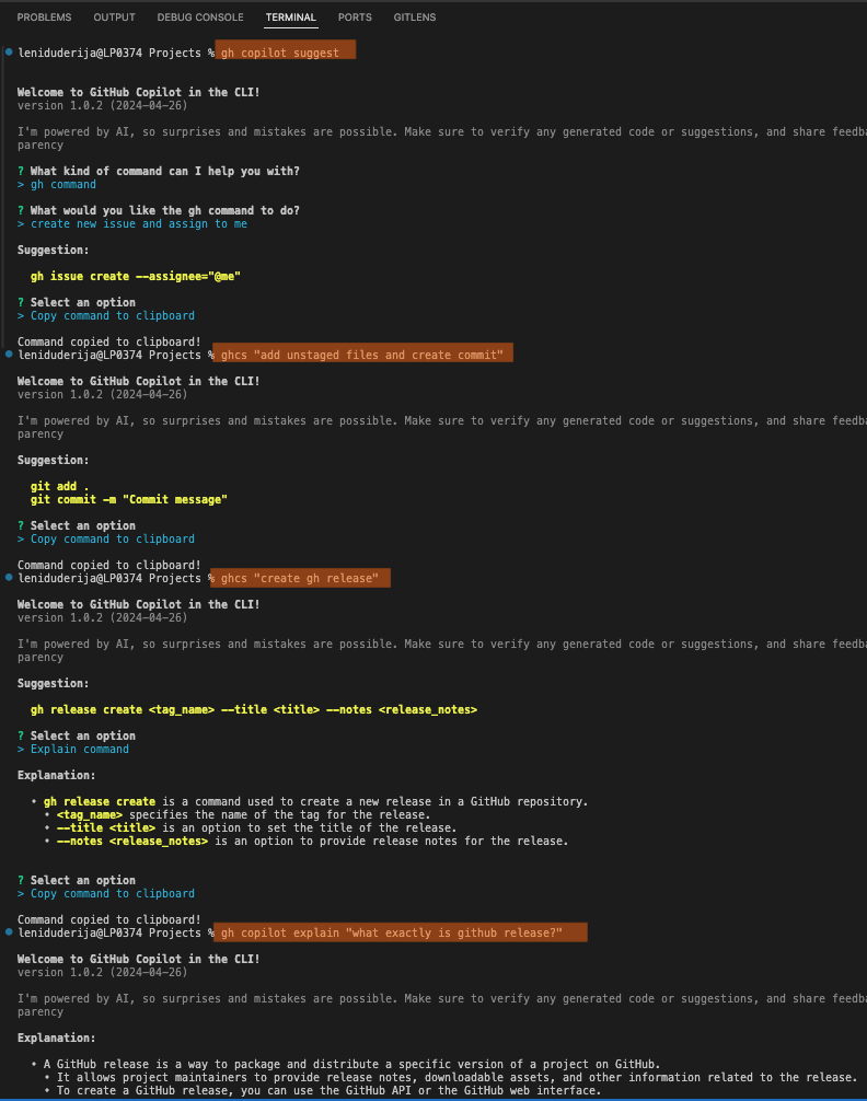Example 28: Leveraging GitHub Copilot in the Command Line Interface (CLI)